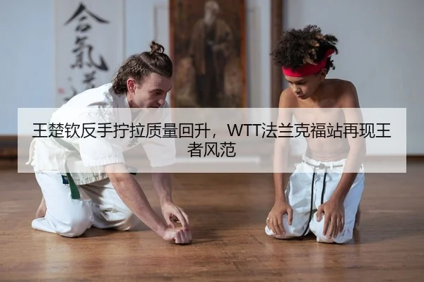 wang-chu-qin-fan-shou-ning-la-zhi-liang-hui-sheng-fa-lan-ke-fu-zhan-zai-xian-wang-zhe-feng-fan-2-504.jpg